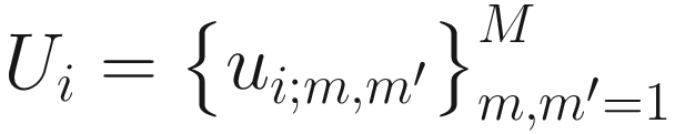 $$ {U}_i={\left\{{u}_{i;m,{m}^{\prime }}\right\}}_{m,{m}^{\prime }=1}^M $$